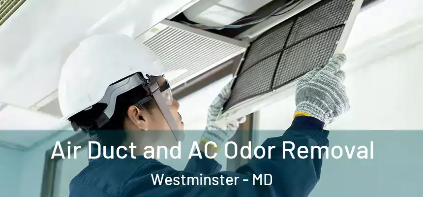 Air Duct and AC Odor Removal Westminster - MD
