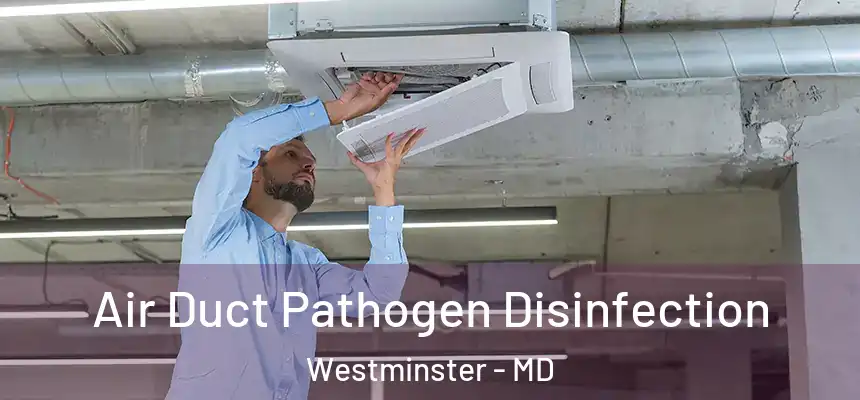 Air Duct Pathogen Disinfection Westminster - MD