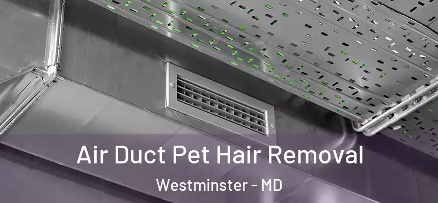  Air Duct Pet Hair Removal Westminster - MD