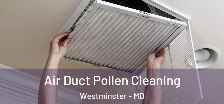 Air Duct Pollen Cleaning Westminster - MD