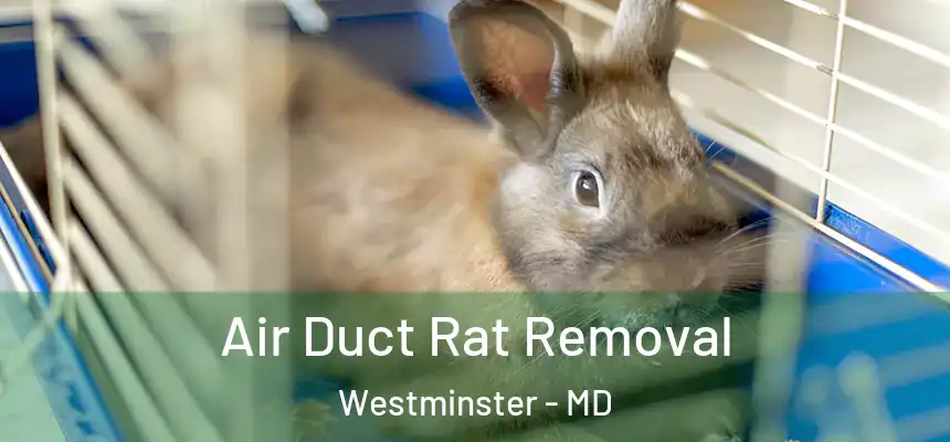 Air Duct Rat Removal Westminster - MD