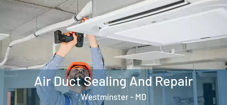  Air Duct Sealing And Repair Westminster - MD