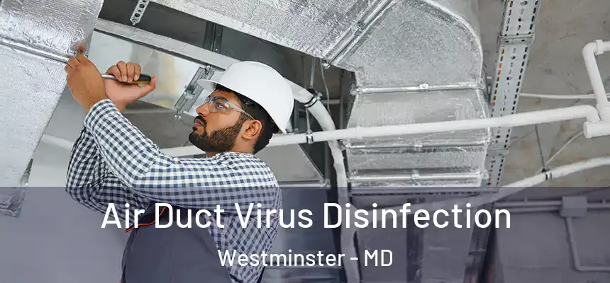 Air Duct Virus Disinfection Westminster - MD