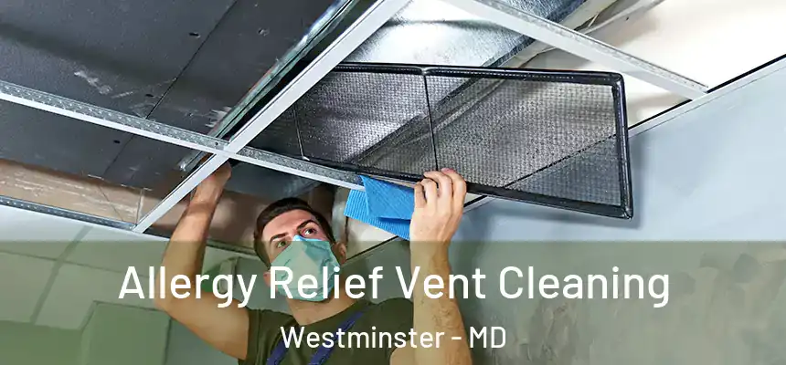  Allergy Relief Vent Cleaning Westminster - MD