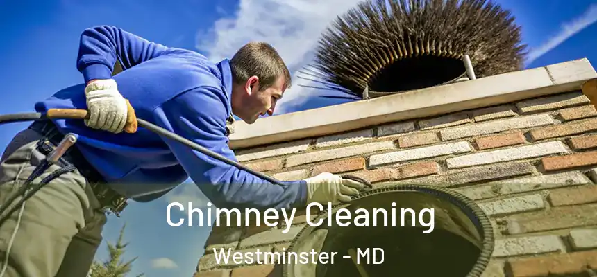 Chimney Cleaning Westminster - MD