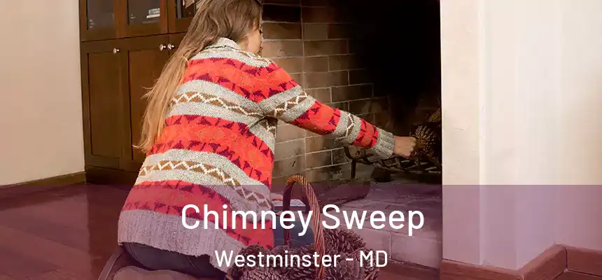 Chimney Sweep Westminster - MD