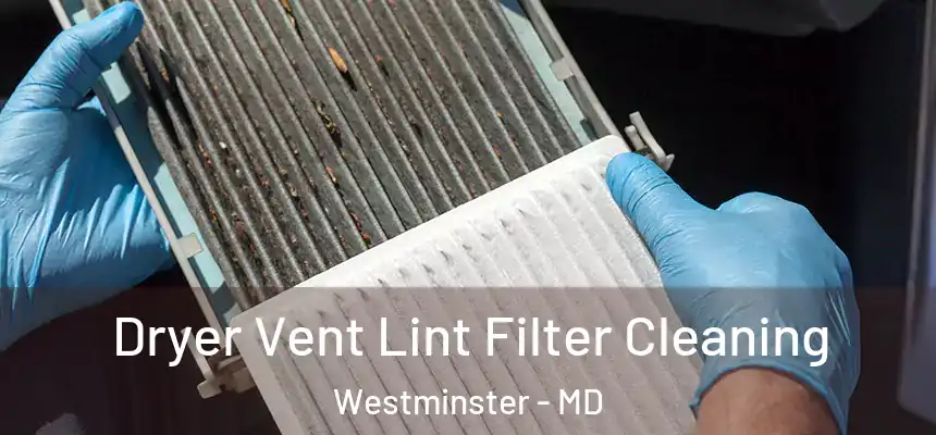 Dryer Vent Lint Filter Cleaning Westminster - MD