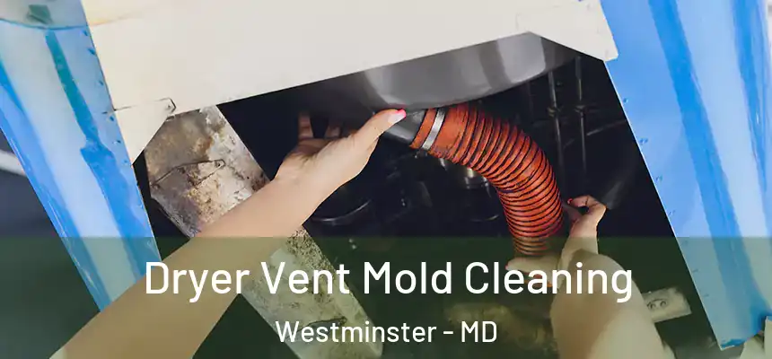 Dryer Vent Mold Cleaning Westminster - MD