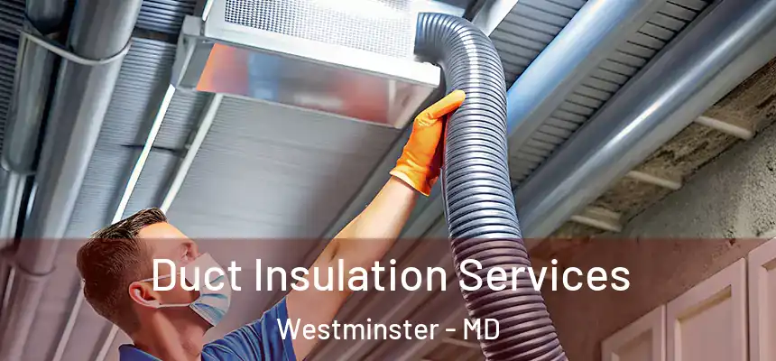 Duct Insulation Services Westminster - MD