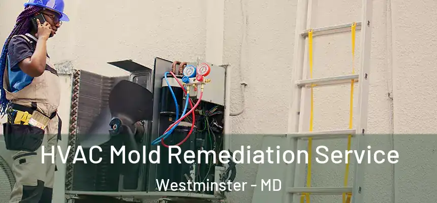HVAC Mold Remediation Service Westminster - MD
