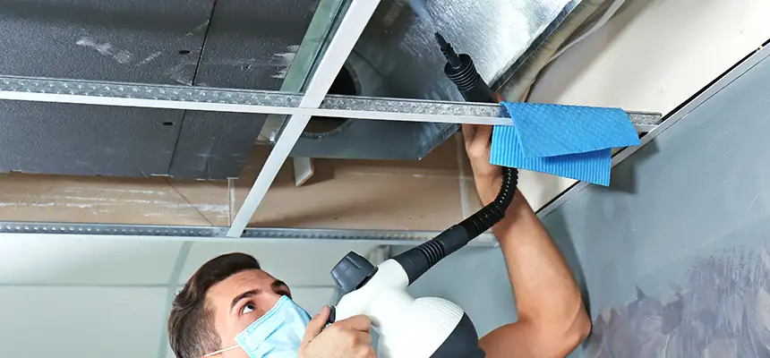 Our Air Duct Rodent Removal Services in Westminster, MD
