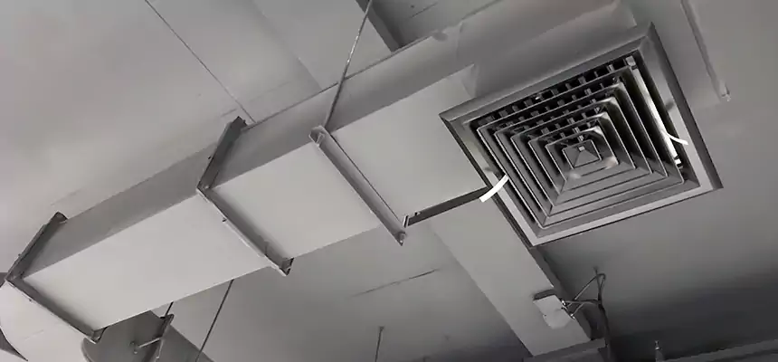 Restorative Allergy Relief Vent Cleaning – Coil, Blower & Housing Detail in Westminster