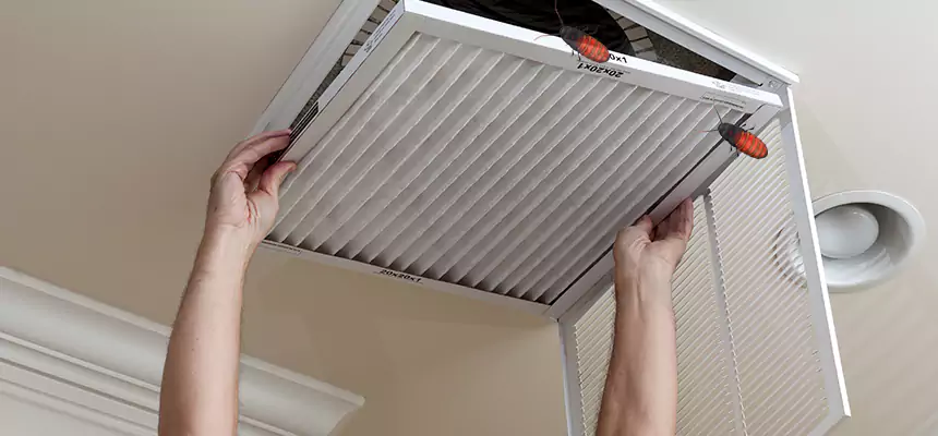 Our Insect Removal from Air Ducts Services in Westminster, MD