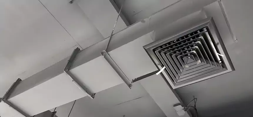 Our Rodent Droppings In Vents Services in Westminster, MD