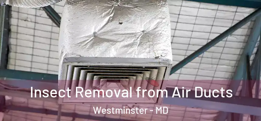 Insect Removal from Air Ducts Westminster - MD