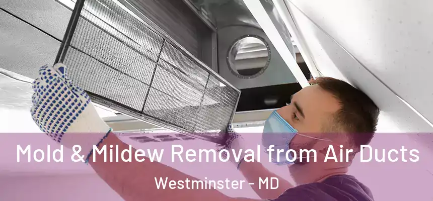 Mold & Mildew Removal from Air Ducts Westminster - MD