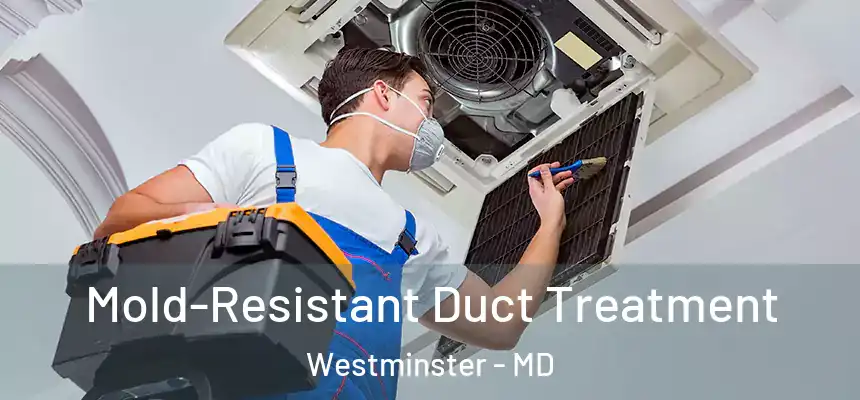 Mold-Resistant Duct Treatment Westminster - MD