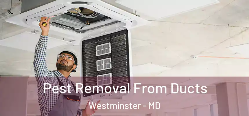 Pest Removal From Ducts Westminster - MD