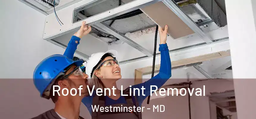 Roof Vent Lint Removal Westminster - MD