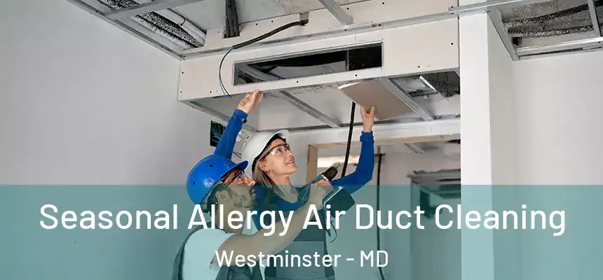 Seasonal Allergy Air Duct Cleaning Westminster - MD