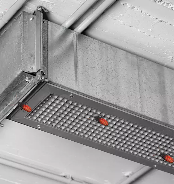About Air Duct Cockroach Removal in Westminster, MD