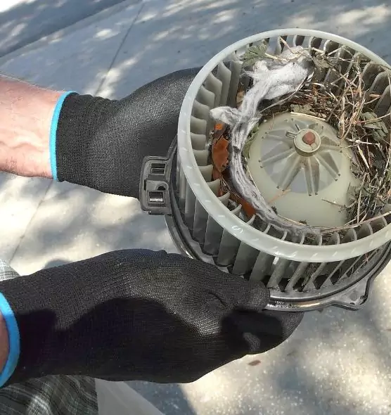 About Air Duct Mice Removal in Westminster, MD