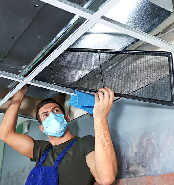 Professional Air Duct Pollen Cleaning in Westminster, MD
