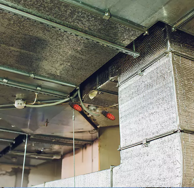 Why Homeowners & Businesses Trust Us in Westminster, MD?