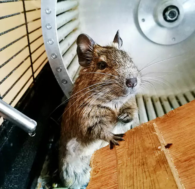 Why Homeowners & Businesses Trust Us Westminster, MD?